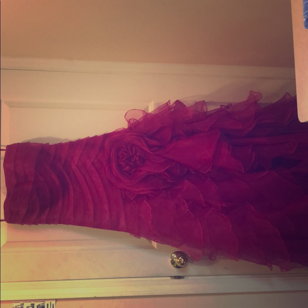 Formal fascia dress